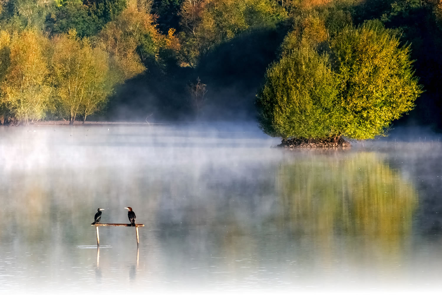 Early morning at weir wood reservoir image